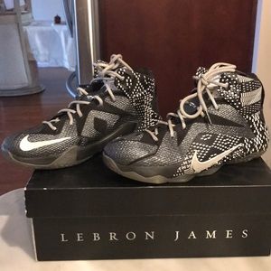 Lebron 12s